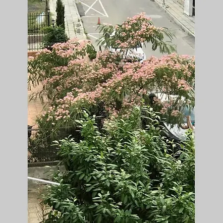 Apartman Familienapartment Am In